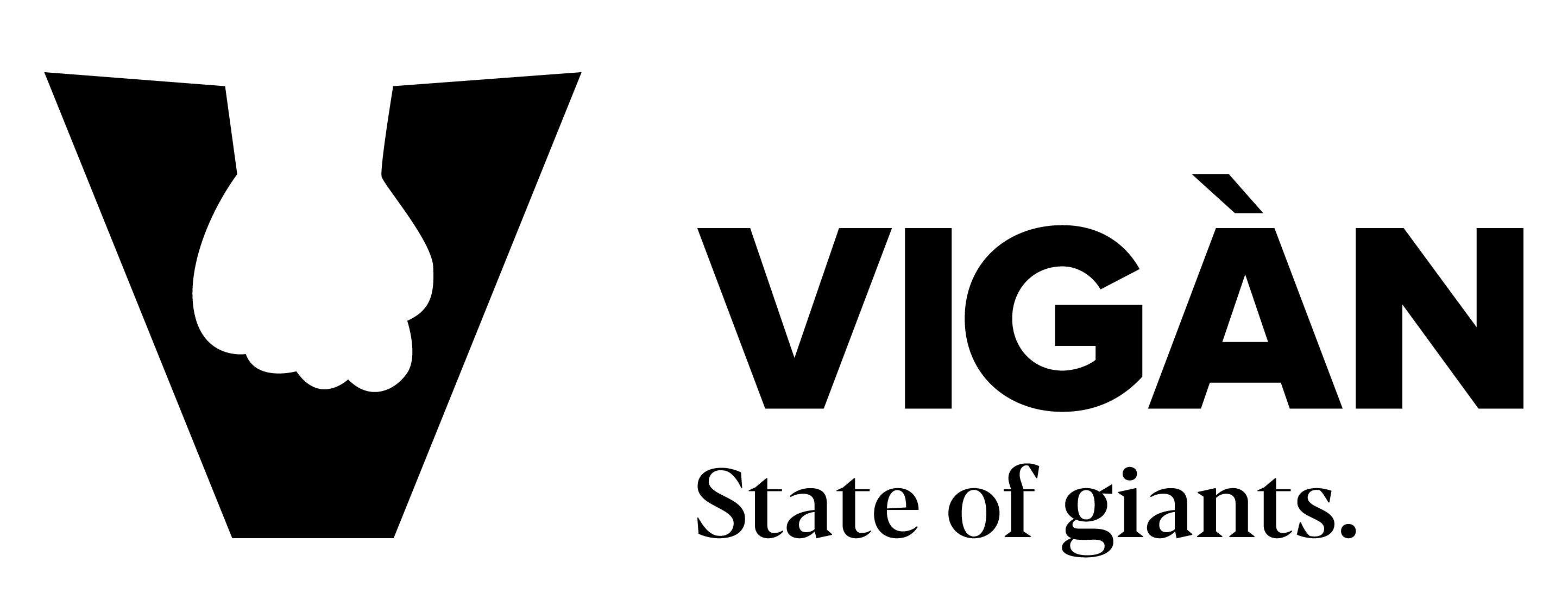 Vigàn Group Outsourcing Company in Albania
