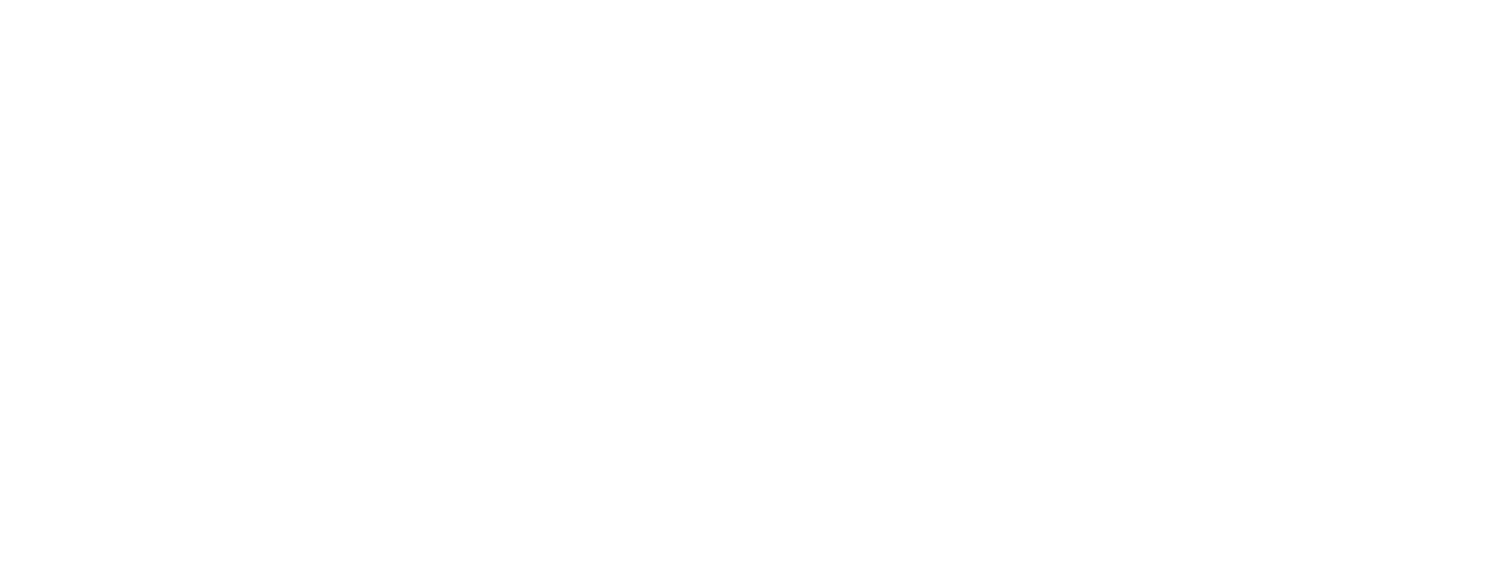 Vigàn Group Outsourcing Company in Albania